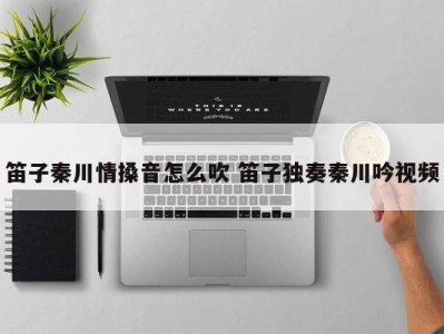 笛子秦川情搡音怎么吹 笛子独奏秦川吟视频