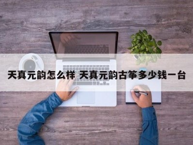天真元韵怎么样 天真元韵古筝多少钱一台