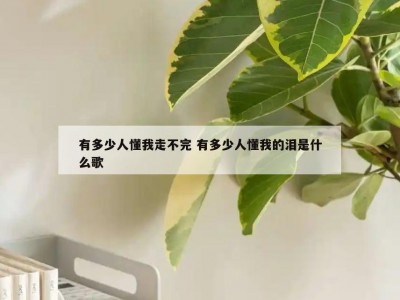 有多少人懂我走不完 有多少人懂我的泪是什么歌