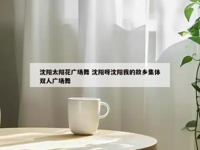 沈阳太阳花广场舞 沈阳呀沈阳我的故乡集体双人广场舞