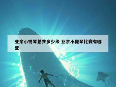 业余小提琴总共多少级 业余小提琴比赛有哪些