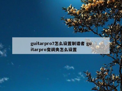 guitarpro7怎么设置制谱者 guitarpro变调夹怎么设置
