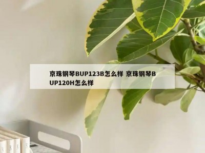 京珠钢琴BUP123B怎么样 京珠钢琴BUP120H怎么样