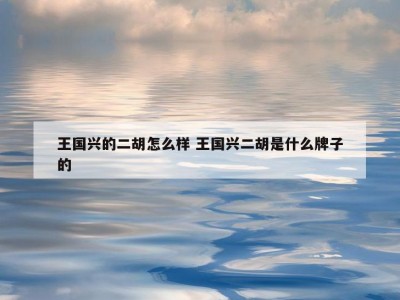 王国兴的二胡怎么样 王国兴二胡是什么牌子的