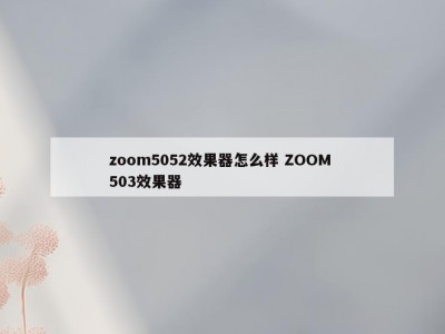 zoom5052效果器怎么样 ZOOM 503效果器