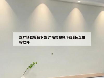 想广场舞视频下载 广场舞视频下载到u盘用啥软件