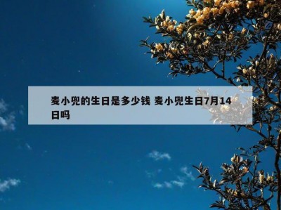 麦小兜的生日是多少钱 麦小兜生日7月14日吗