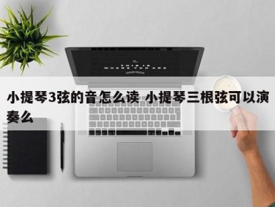 小提琴3弦的音怎么读 小提琴三根弦可以演奏么