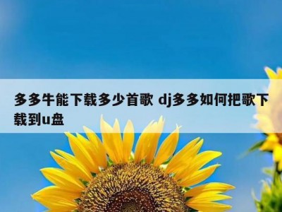 多多牛能下载多少首歌 dj多多如何把歌下载到u盘