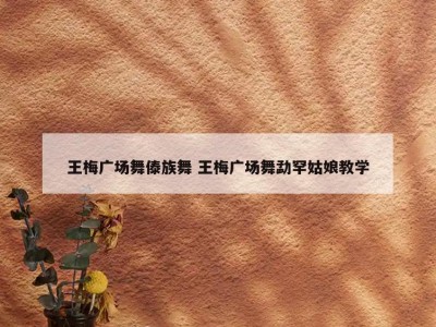 王梅广场舞傣族舞 王梅广场舞勐罕姑娘教学
