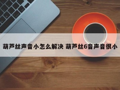 葫芦丝声音小怎么解决 葫芦丝6音声音很小