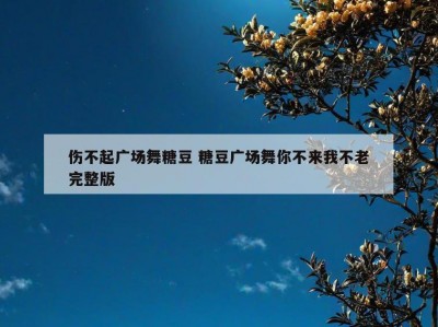 伤不起广场舞糖豆 糖豆广场舞你不来我不老完整版