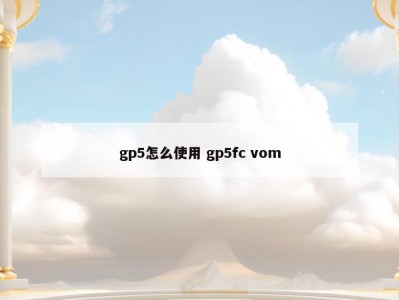 gp5怎么使用 gp5fc vom