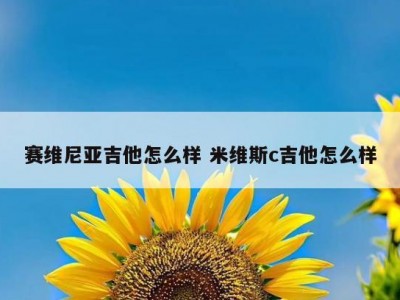 赛维尼亚吉他怎么样 米维斯c吉他怎么样