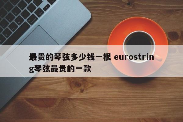 最贵的琴弦多少钱一根 eurostring琴弦最贵的一款