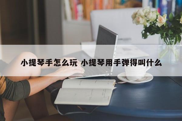 小提琴手怎么玩 小提琴用手弹得叫什么
