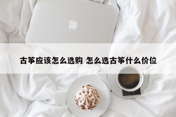 古筝应该怎么选购 怎么选古筝什么价位