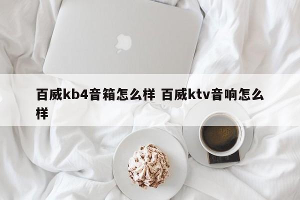 百威kb4音箱怎么样 百威ktv音响怎么样