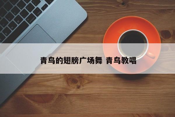 青鸟的翅膀广场舞 青鸟教唱