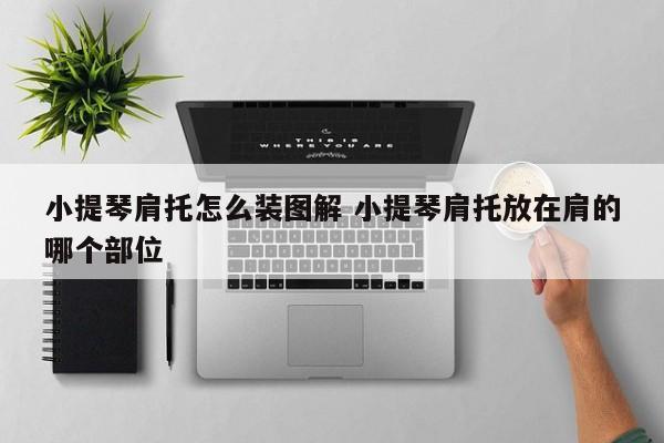 小提琴肩托怎么装图解 小提琴肩托放在肩的哪个部位