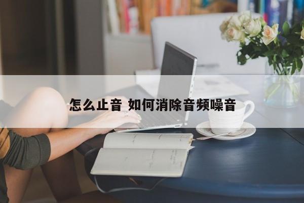 怎么止音 如何消除音频噪音