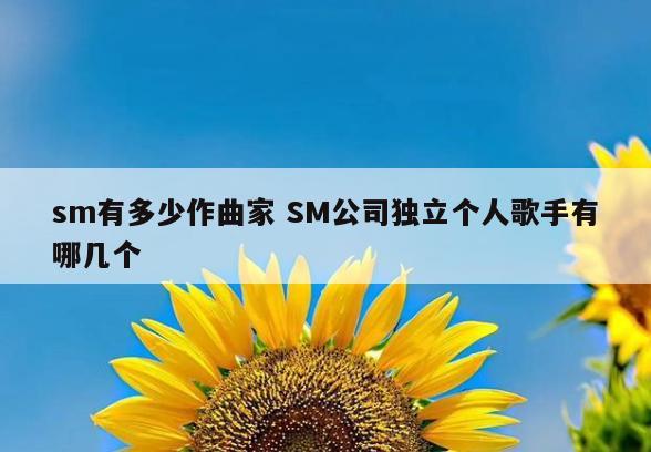 sm有多少作曲家 SM公司独立个人歌手有哪几个
