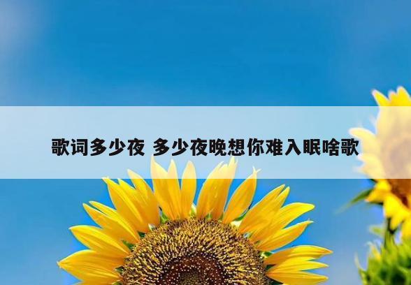 歌词多少夜 多少夜晚想你难入眠啥歌
