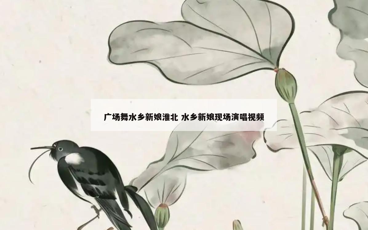 广场舞水乡新娘淮北 水乡新娘现场演唱视频