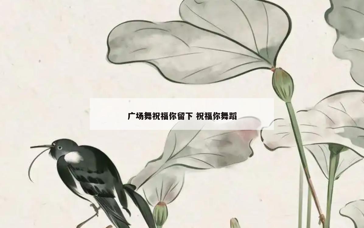广场舞祝福你留下 祝福你舞蹈