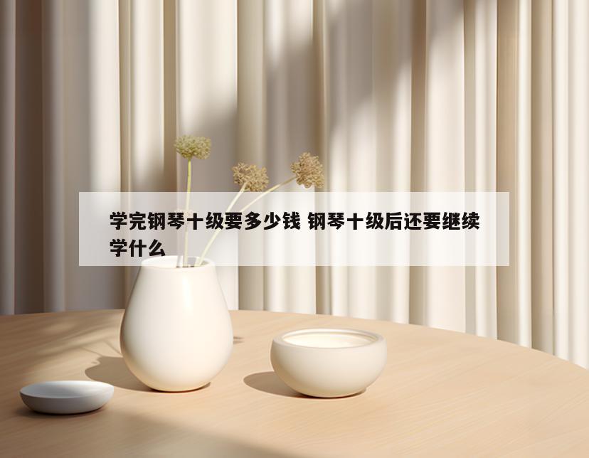 学完钢琴十级要多少钱 钢琴十级后还要继续学什么