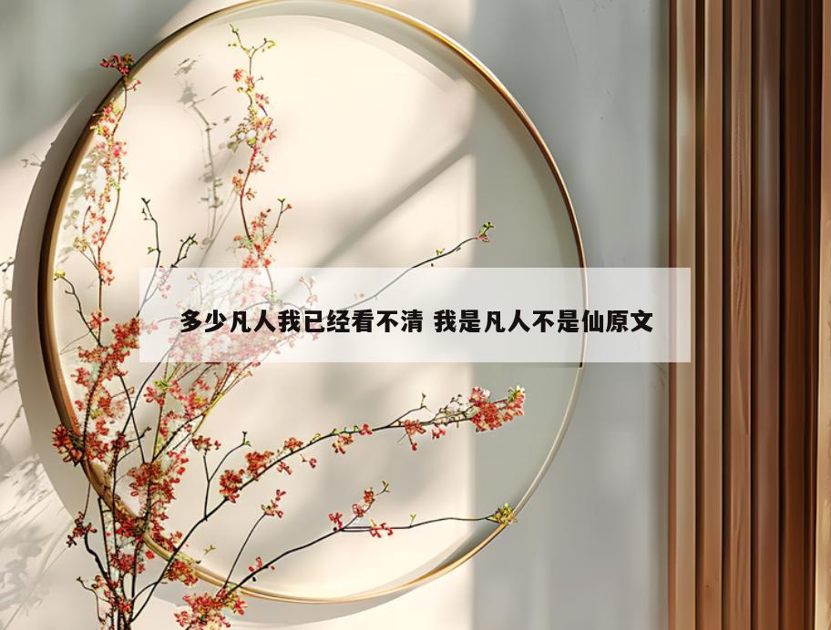 多少凡人我已经看不清 我是凡人不是仙原文