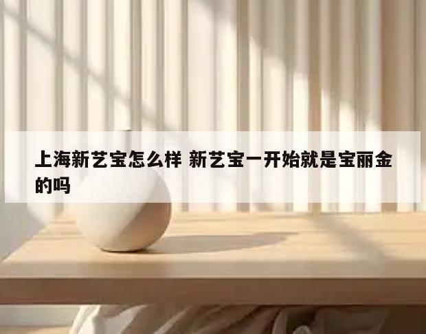 上海新艺宝怎么样 新艺宝一开始就是宝丽金的吗