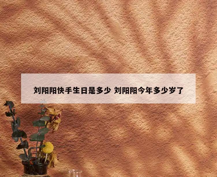 刘阳阳快手生日是多少 刘阳阳今年多少岁了