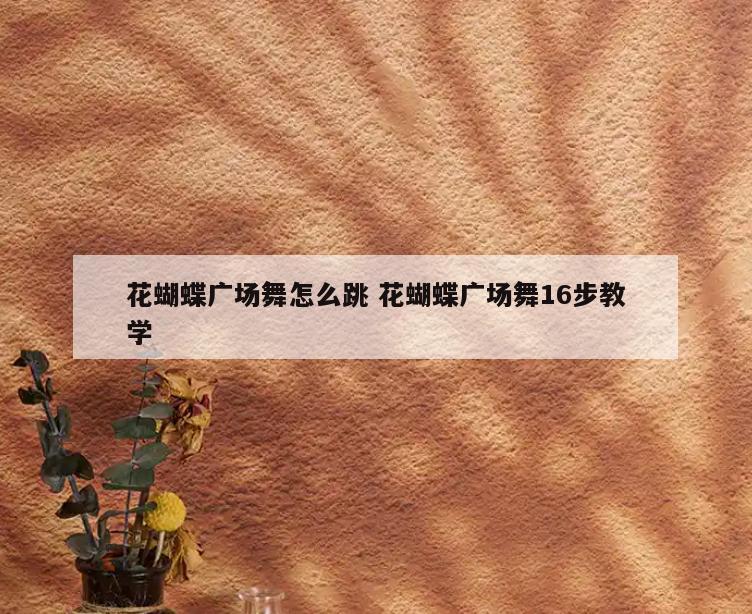 花蝴蝶广场舞怎么跳 花蝴蝶广场舞16步教学