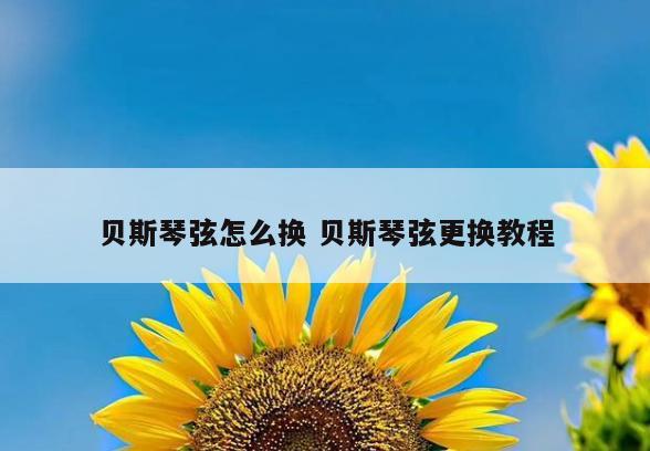 贝斯琴弦怎么换 贝斯琴弦更换教程