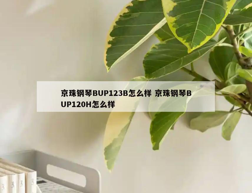 京珠钢琴BUP123B怎么样 京珠钢琴BUP120H怎么样