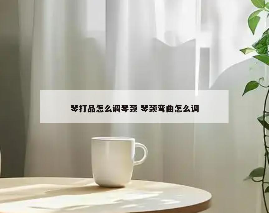 琴打品怎么调琴颈 琴颈弯曲怎么调
