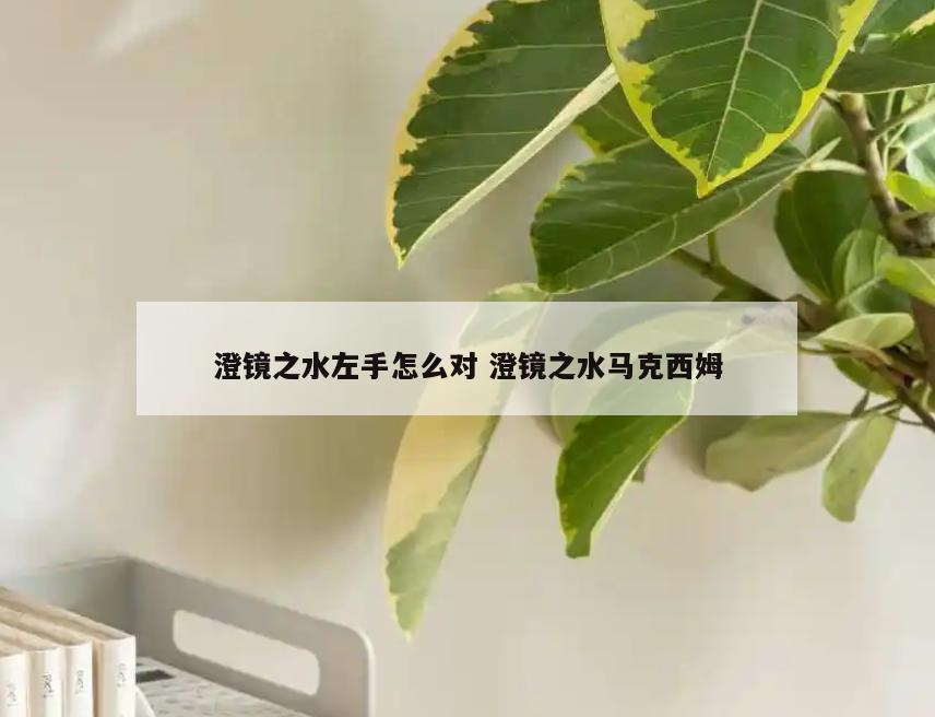 澄镜之水左手怎么对 澄镜之水马克西姆