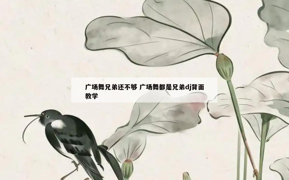广场舞兄弟还不够 广场舞都是兄弟dj背面教学