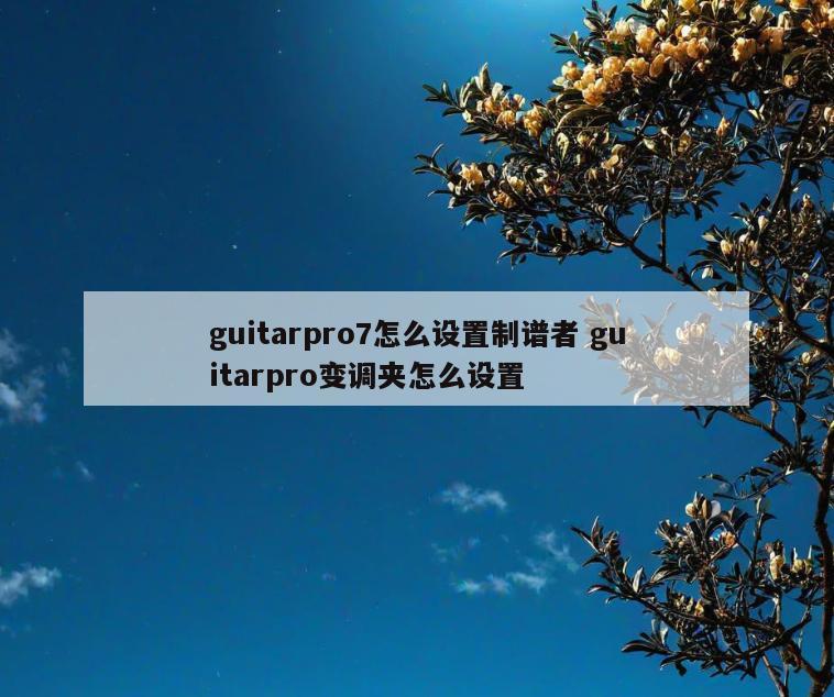 guitarpro7怎么设置制谱者 guitarpro变调夹怎么设置