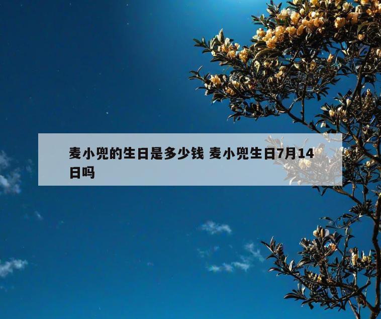 麦小兜的生日是多少钱 麦小兜生日7月14日吗