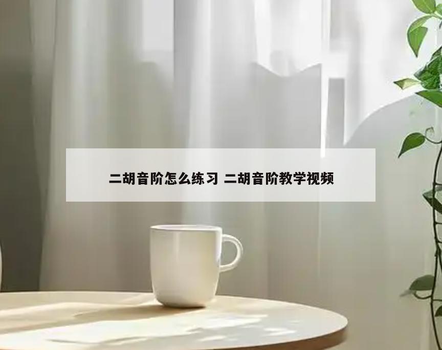 二胡音阶怎么练习 二胡音阶教学视频